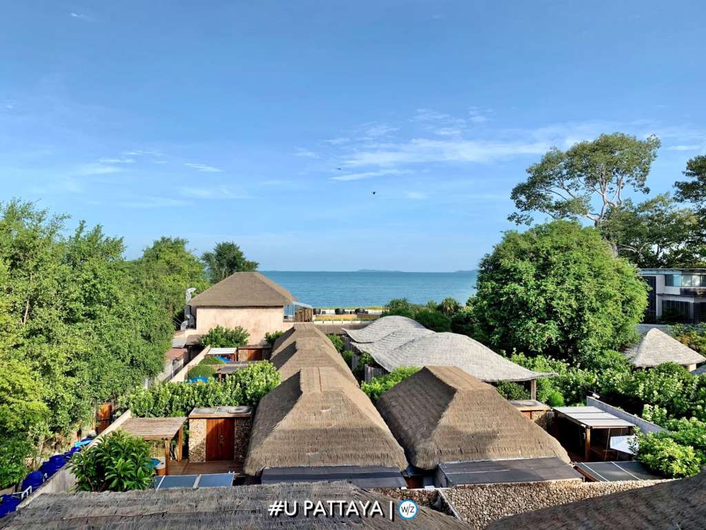 UPTY - VIEW FROM TERRACE1