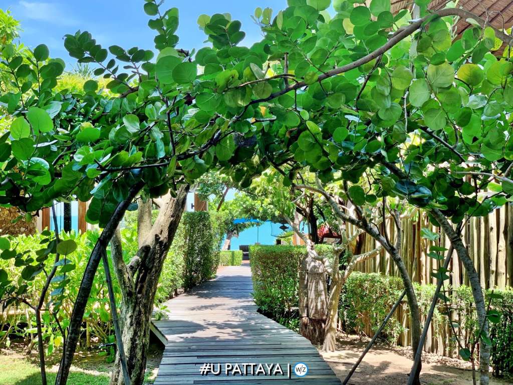 U PATTAYA - OUTSIDE3
