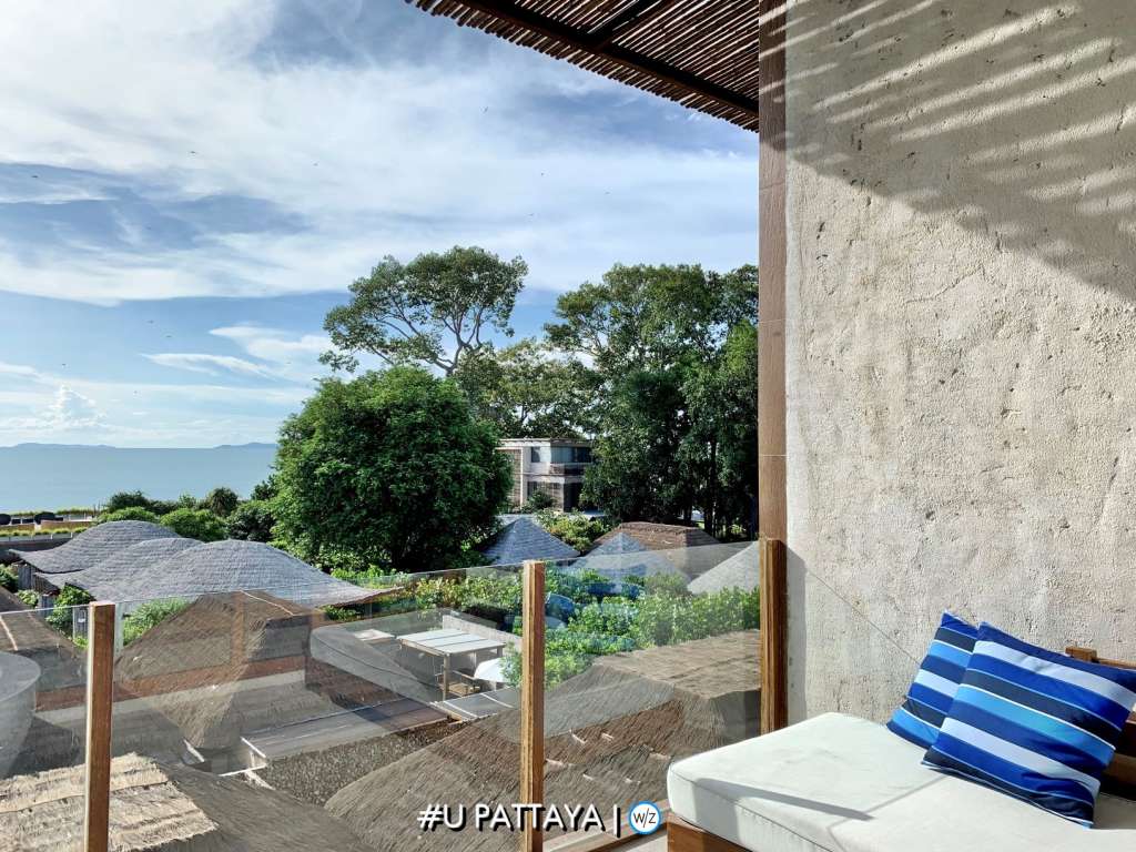 UPTY - TERRACE1