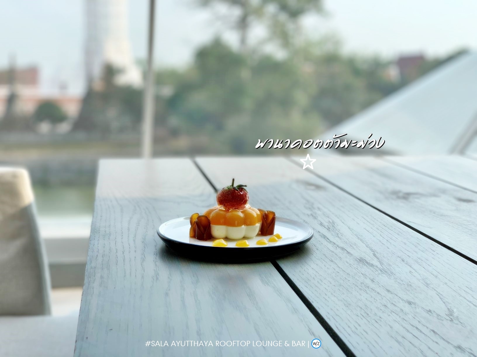 MANGO PANNA COTTA