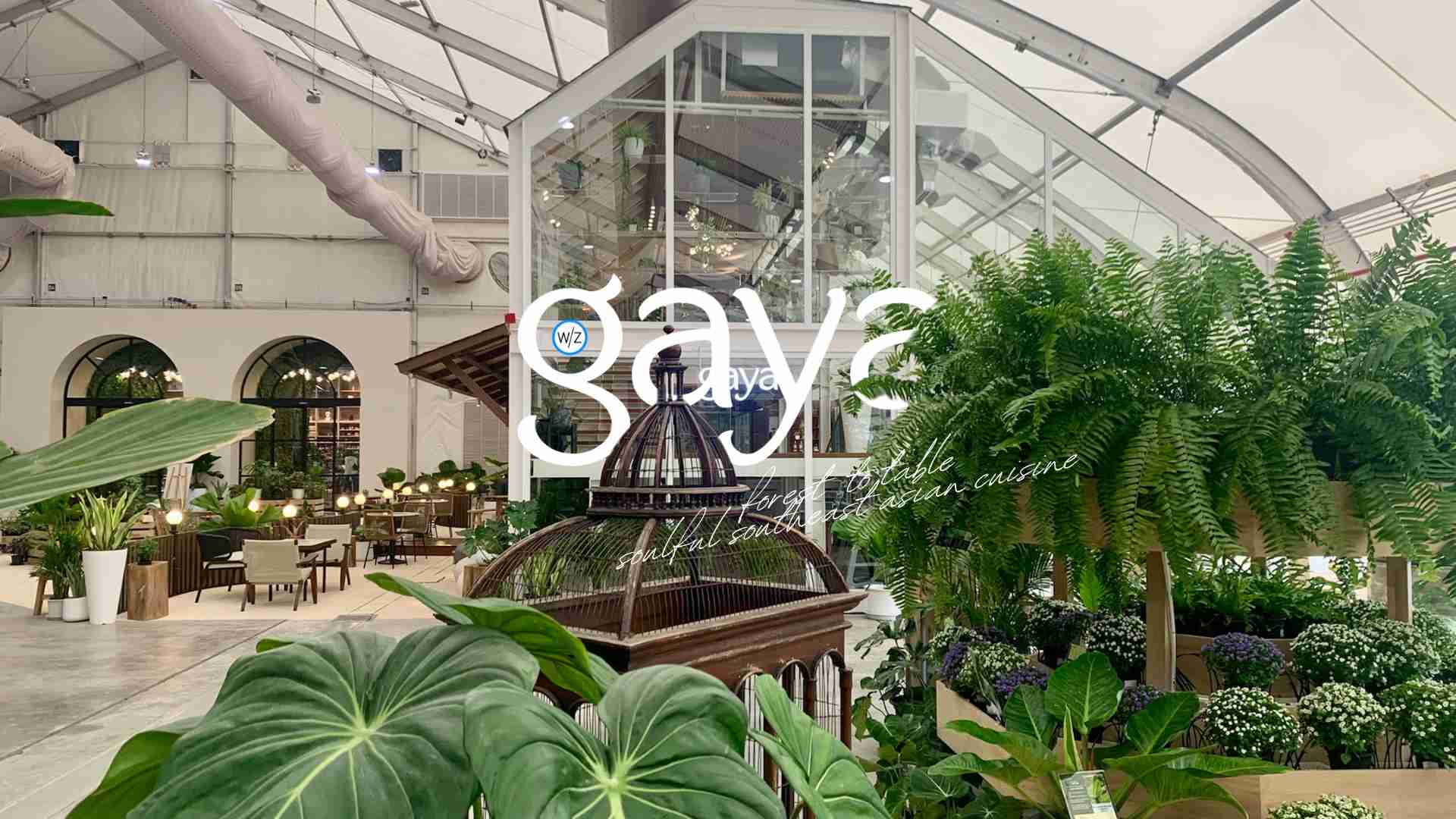 GAYA